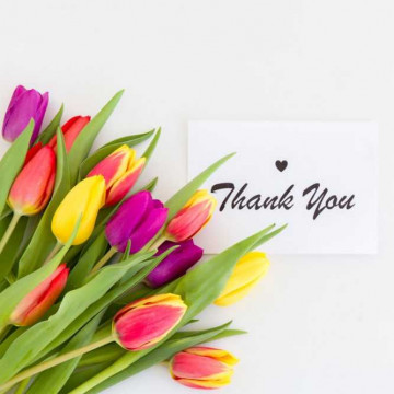 Image for Just to say Thank you 